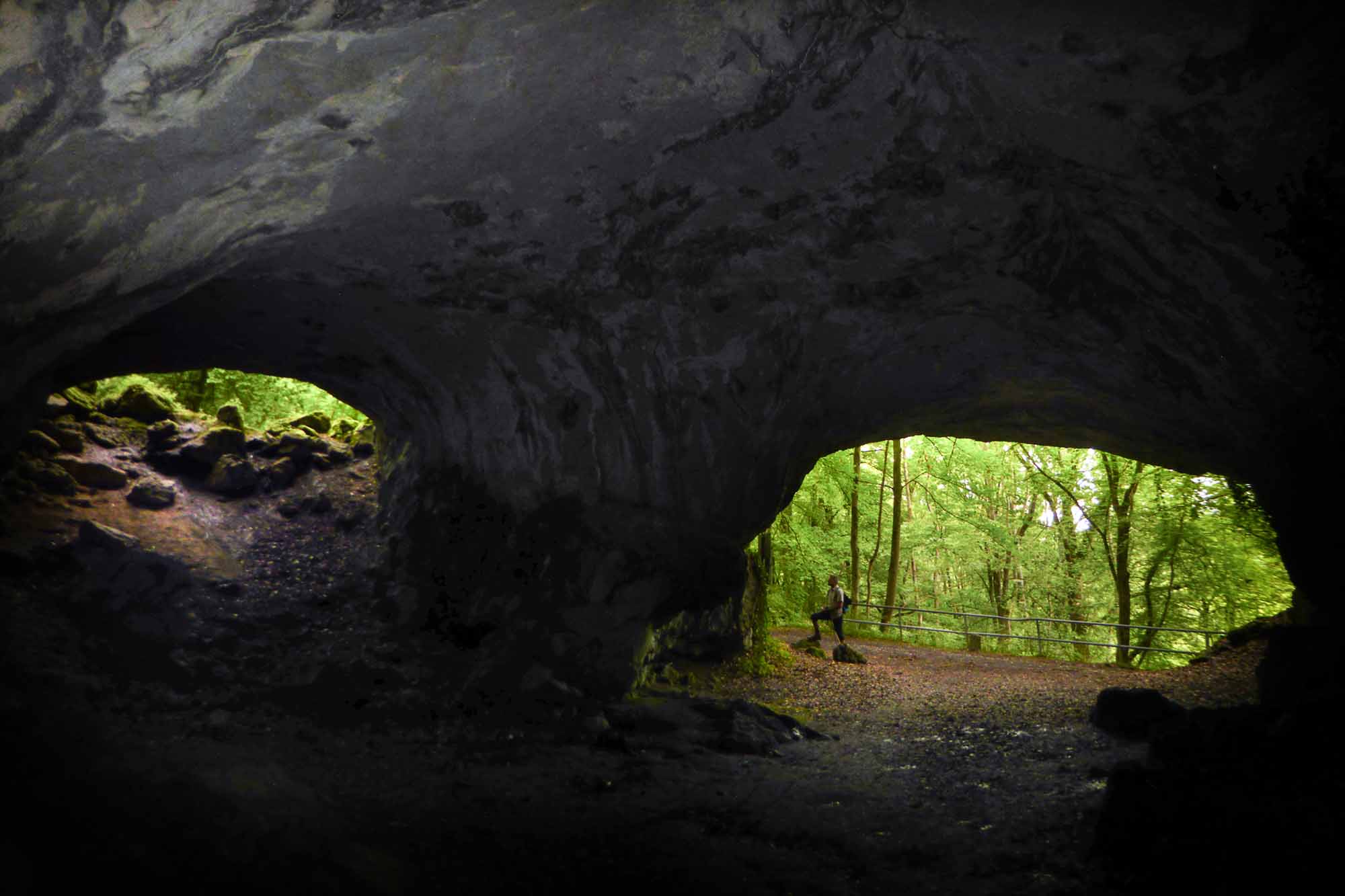 Faust Wald Und Höhle Zusammenfassung